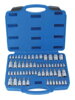 Sada 60ks nadstavcových kľúčov TORX / TORX PLUS - 1/4" 3/8" 1/2"