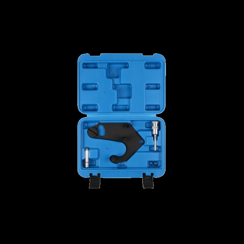 Aretácia rozvodov Renault / Nissan / Infiniti 3.0 V6 dCi (V9X) - Magnus